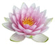 Pink Open Lotus Flower Wall Decal