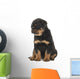 Cute Sitting Rottweiler Puppy Wall Decal