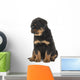 Cute Sitting Rottweiler Puppy Wall Decal