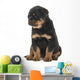 Cute Sitting Rottweiler Puppy Wall Decal