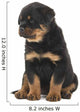 Cute Sitting Rottweiler Puppy Wall Decal