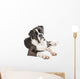 Cute Boxer Dog Lying Wall Decal