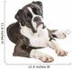 Cute Boxer Dog Lying Wall Decal