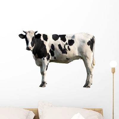 Black and White Cow Wall Decal shown on a wall