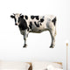 Black and White Cow Wall Decal