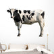 Black and White Cow Wall Decal