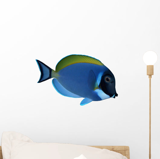 Surgeon Fish Wall Decal