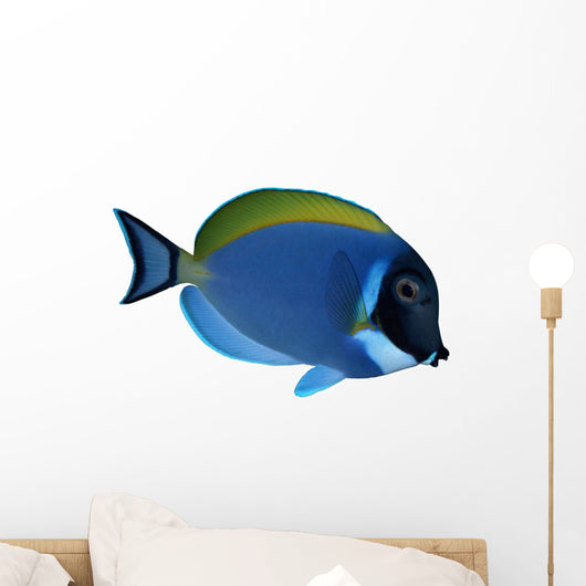 Surgeon Fish Wall Decal
