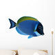 Surgeon Fish Wall Decal