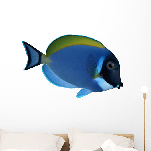 Surgeon Fish Wall Decal