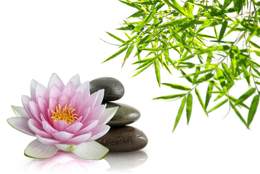 Composition Zen Wall Decal