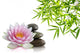 Composition Zen Wall Decal