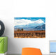 Volcano Aconcagua and Vineyard Wall Decal