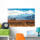 Volcano Aconcagua and Vineyard Wall Decal