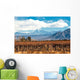Volcano Aconcagua and Vineyard Wall Decal