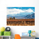 Volcano Aconcagua and Vineyard Wall Decal