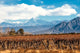 Volcano Aconcagua and Vineyard Wall Decal