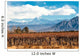Volcano Aconcagua and Vineyard Wall Decal