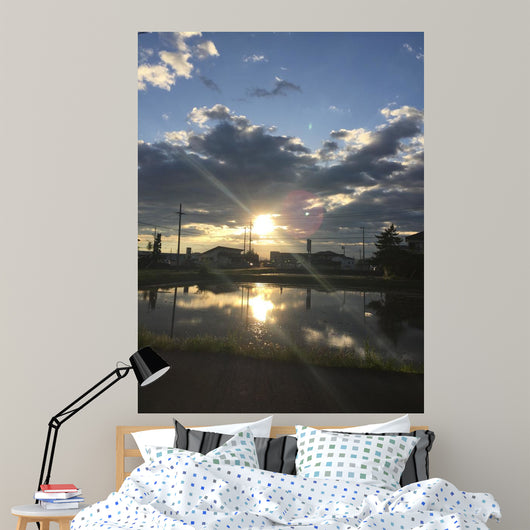 田んぼに映る夕日 Wall Mural