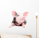 Portrait Funny Little Pig Wall Decal