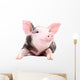 Portrait Funny Little Pig Wall Decal