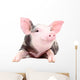 Portrait Funny Little Pig Wall Decal