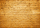 Egyptian Hieroglyphs Wall Decal