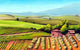 Tuscany Landscape Wall Decal