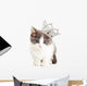 Cute Kitten Wearing Princess Wall Decal