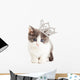 Cute Kitten Wearing Princess Wall Decal