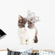 Cute Kitten Wearing Princess Wall Decal