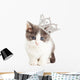 Cute Kitten Wearing Princess Wall Decal
