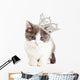Cute Kitten Wearing Princess Wall Decal
