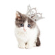 Cute Kitten Wearing Princess Wall Decal