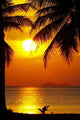Sunset Wall Mural