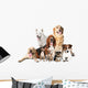 Dog Big Small Wall Decal