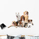 Dog Big Small Wall Decal