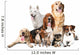 Dog Big Small Wall Decal