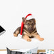 German Shepherd Puppy with Wall Decal