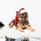 German Shepherd Puppy with Wall Decal