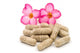 Herb Capsules Wall Decal