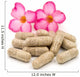 Herb Capsules Wall Decal