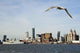 Liverpool Waterfront Wall Decal
