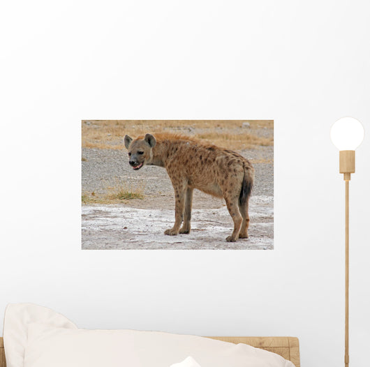 Hya Ne Ta Pfelhya Wall Decal