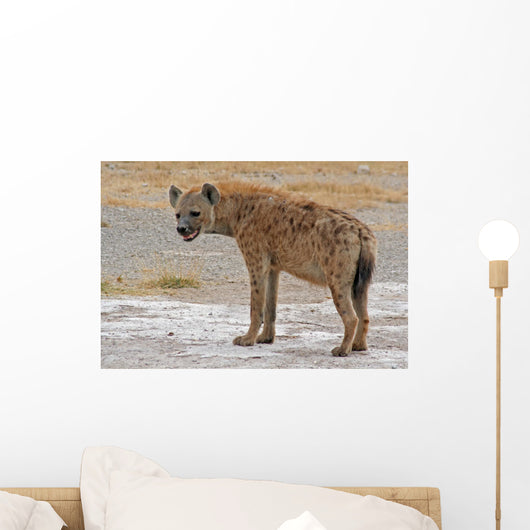 Hya Ne Ta Pfelhya Wall Decal