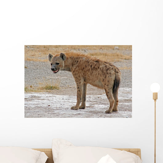 Hya Ne Ta Pfelhya Wall Decal