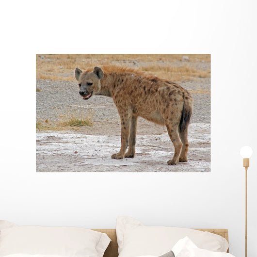 Hya Ne Ta Pfelhya Wall Decal