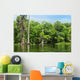 Wakulla Springs State Park Wall Decal