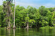 Wakulla Springs State Park Wall Decal