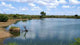 Etosha Wall Decal